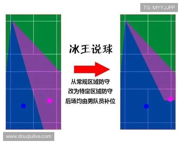 基于羽毛球数据统计分析的战术优化研究与应用